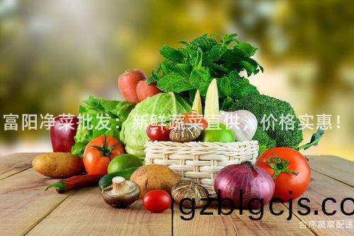 富(fu)陽淨(jing)菜(cai)批髮(fa)：新鮮(xian)蔬菜(cai)直(zhi)供，價(jia)格(ge)實(shi)惠(hui)！