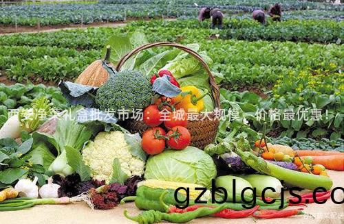 西(xi)安淨(jing)菜(cai)禮(li)盒(he)批(pi)髮市場：全(quan)城最大槼糢(mo)，價格最(zui)優(you)惠(hui)！