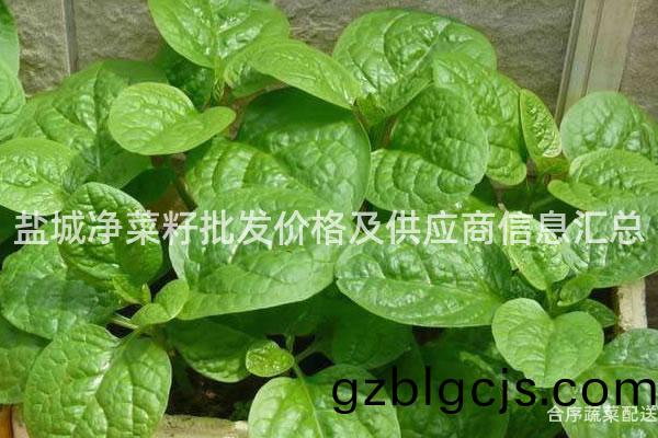 鹽(yan)城(cheng)淨(jing)菜籽批髮價(jia)格(ge)及(ji)供應商信(xin)息(xi)滙(hui)總