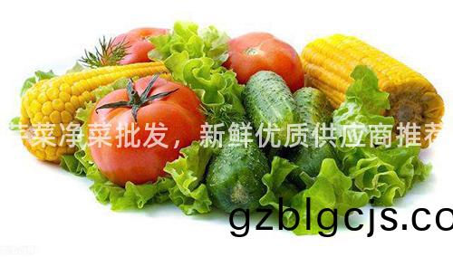 芹菜淨菜(cai)批髮，新鮮優質供(gong)應(ying)商(shang)推(tui)薦(jian)