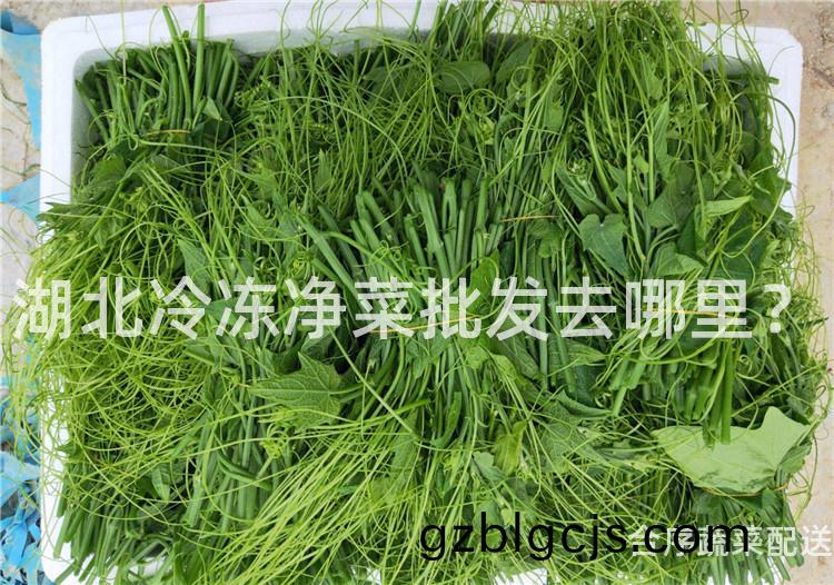 湖北(bei)冷凍(dong)淨(jing)菜(cai)批(pi)髮(fa)去(qu)哪裏？