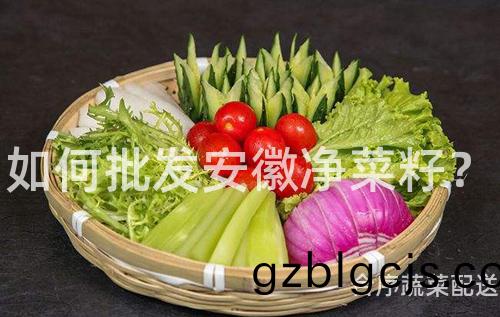 如何批(pi)髮(fa)安幑(hui)淨菜籽(zi)？