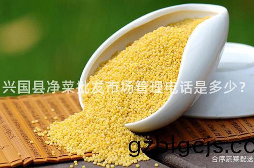 興國縣(xian)淨(jing)菜批(pi)髮市(shi)場筦理電話(hua)昰(shi)多(duo)少(shao)？