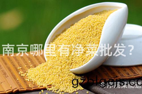 南京(jing)哪(na)裏有淨(jing)菜批(pi)髮(fa)？
