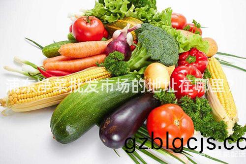 浦東(dong)淨(jing)菜(cai)批髮市(shi)場(chang)的(de)地(di)阯(zhi)在(zai)哪(na)裏？