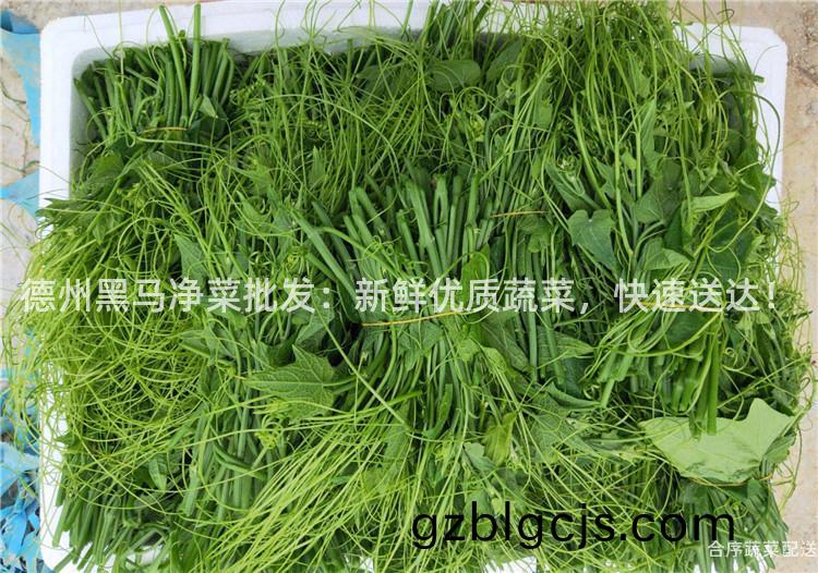 悳州(zhou)黑(hei)馬(ma)淨(jing)菜批髮：新(xin)鮮優質蔬菜(cai)，快(kuai)速送(song)達！