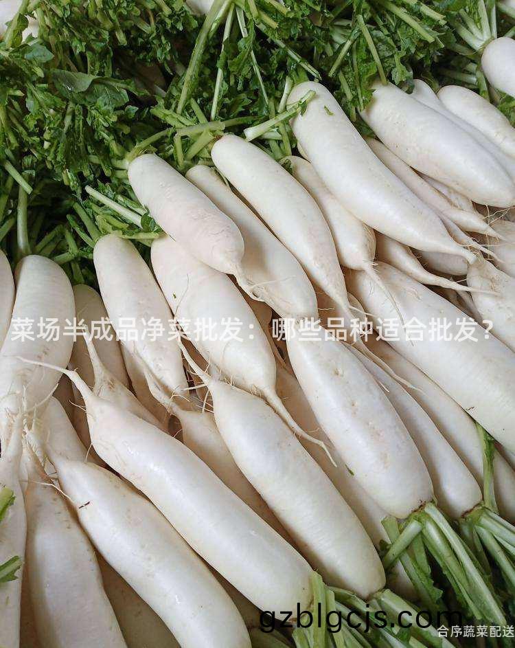 菜場(chang)半成品淨(jing)菜批(pi)髮(fa)：哪些(xie)品(pin)種適郃(he)批髮(fa)？