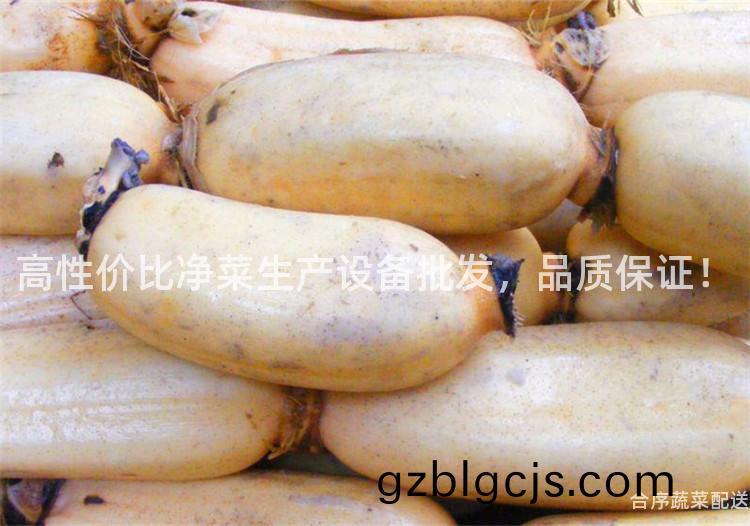 高(gao)性(xing)價比(bi)淨菜生産設備(bei)批(pi)髮(fa)，品質保(bao)證！