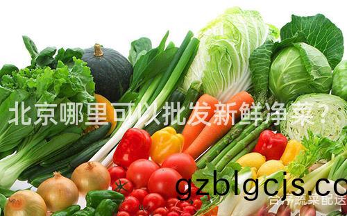 北(bei)京哪(na)裏可(ke)以(yi)批髮新鮮淨菜？