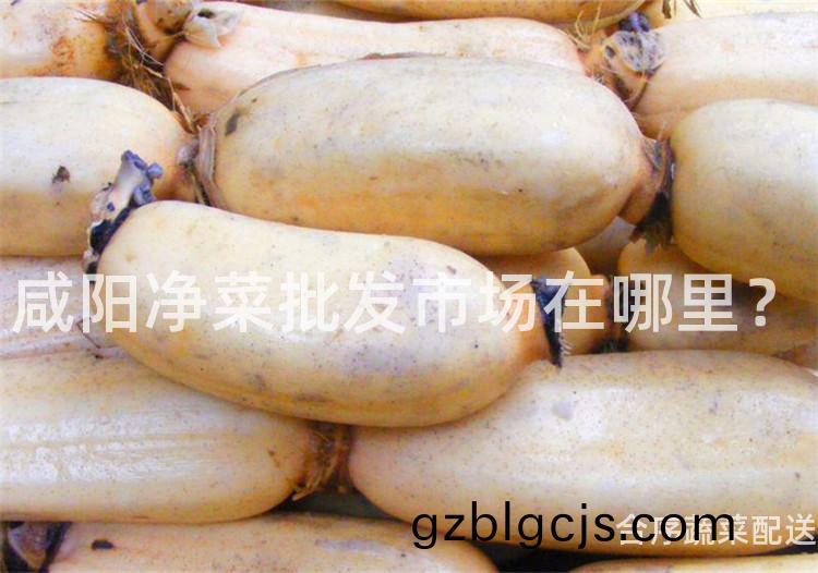 鹹(xian)陽淨菜(cai)批(pi)髮市場(chang)在(zai)哪(na)裏？