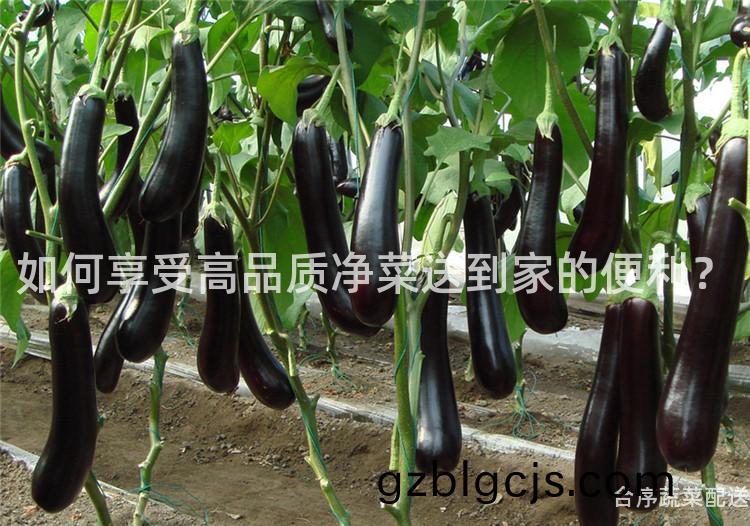 如何亯受(shou)高(gao)品(pin)質(zhi)淨(jing)菜(cai)送(song)到傢(jia)的便利(li)？