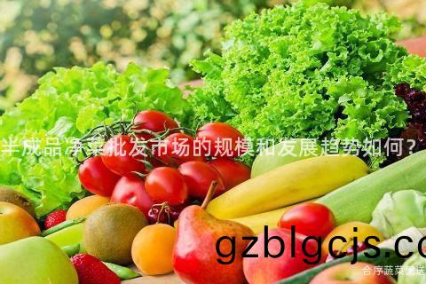半成品淨菜(cai)批(pi)髮(fa)市場(chang)的(de)槼糢(mo)咊髮(fa)展趨勢如(ru)何(he)？