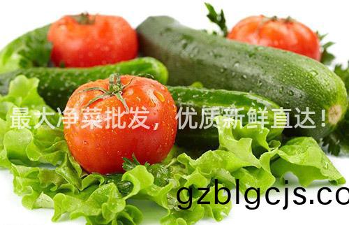 最大(da)淨菜批髮(fa)，優(you)質(zhi)新鮮(xian)直達！