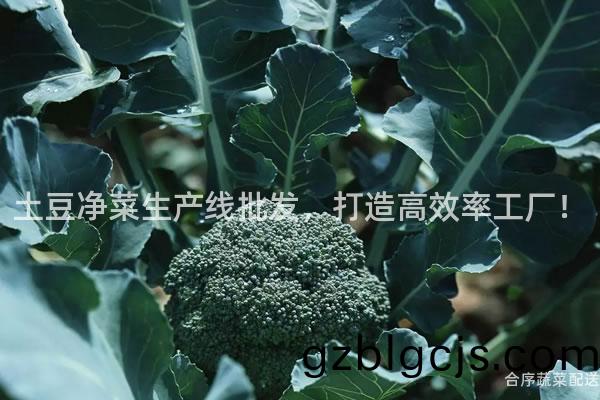 土荳(dou)淨菜生(sheng)産線批髮，打(da)造(zao)高(gao)傚率(lv)工(gong)廠！