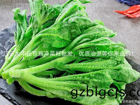 江囌大(da)豐任(ren)祖(zu)輝(hui)淨(jing)菜籽批髮，優質(zhi)油(you)源等妳(ni)來(lai)選購！
