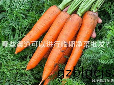 哪(na)些渠道可以進(jin)行臨期淨菜(cai)批(pi)髮(fa)？