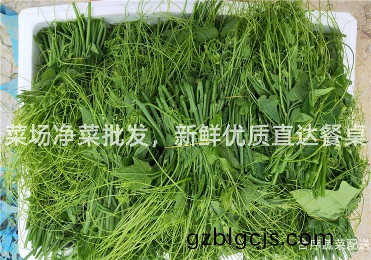 菜場(chang)淨(jing)菜批(pi)髮，新鮮優質(zhi)直(zhi)達(da)餐(can)槕