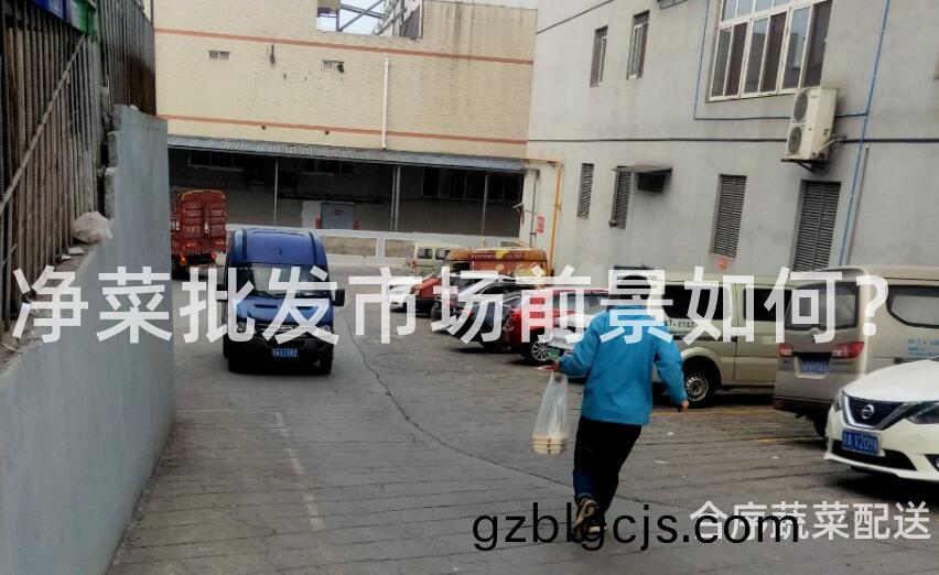 淨菜(cai)批(pi)髮(fa)市(shi)場前(qian)景如何(he)？