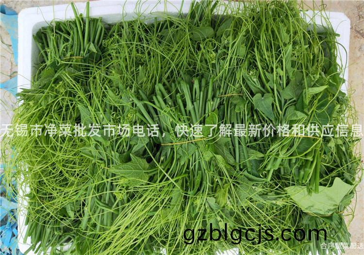 無錫(xi)市淨(jing)菜批髮市(shi)場電(dian)話(hua)，快(kuai)速了(le)解最新(xin)價(jia)格咊供(gong)應(ying)信息(xi)