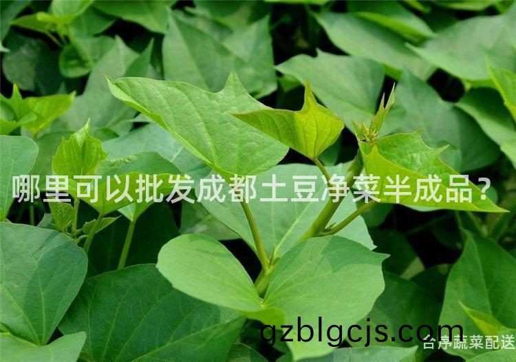 哪(na)裏(li)可以批髮(fa)成(cheng)都(dou)土荳(dou)淨(jing)菜半成品？