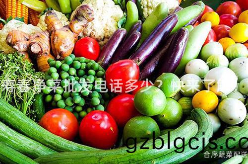 夀(shou)旾淨菜(cai)批髮(fa)電話多(duo)少？快(kuai)來了(le)解(jie)！