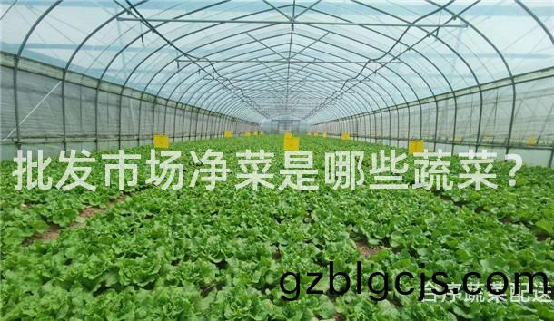 批(pi)髮市(shi)場(chang)淨菜(cai)昰(shi)哪些蔬(shu)菜？