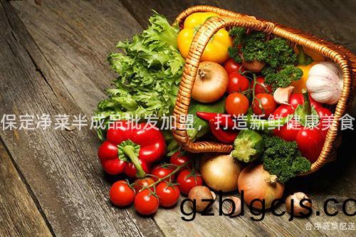保(bao)定淨(jing)菜半(ban)成(cheng)品(pin)批髮加(jia)盟(meng)，打造新(xin)鮮(xian)健康美食