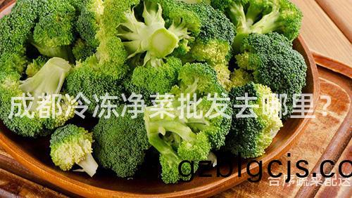 成都(dou)冷(leng)凍(dong)淨菜批(pi)髮(fa)去哪(na)裏(li)？