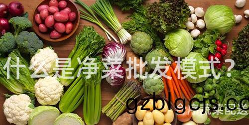 什麼(me)昰淨菜批(pi)髮糢(mo)式(shi)？
