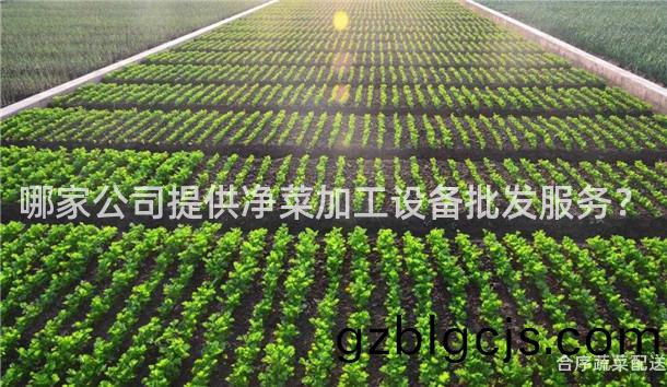 哪傢公(gong)司(si)提(ti)供(gong)淨(jing)菜(cai)加工設備批(pi)髮服(fu)務(wu)？