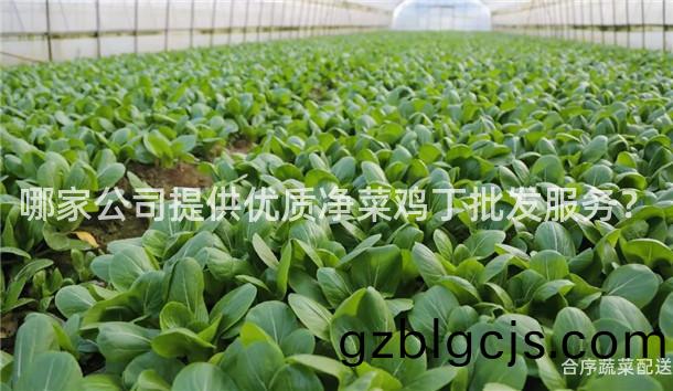 哪(na)傢公(gong)司(si)提(ti)供優質(zhi)淨(jing)菜鷄(ji)丁批(pi)髮(fa)服(fu)務？
