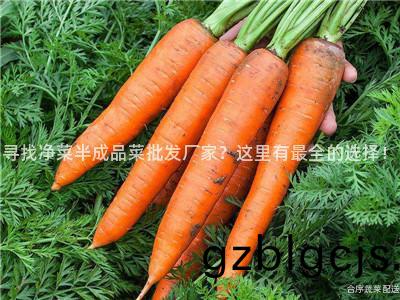 尋(xun)找(zhao)淨(jing)菜半成品(pin)菜批(pi)髮(fa)廠(chang)傢(jia)？這裏(li)有(you)最(zui)全(quan)的(de)選(xuan)擇(ze)！