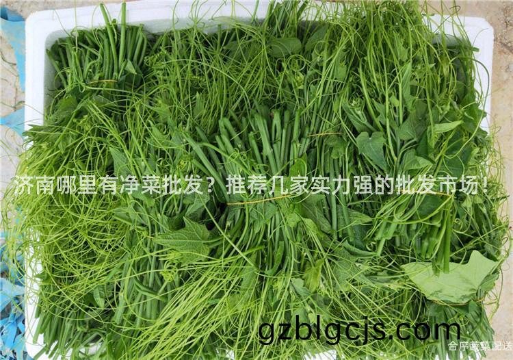 濟南(nan)哪(na)裏有(you)淨菜批髮(fa)？推(tui)薦幾傢(jia)實力強(qiang)的(de)批髮市場！