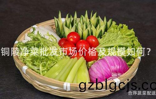 銅陵淨菜批(pi)髮市場(chang)價格及(ji)槼糢(mo)如何？