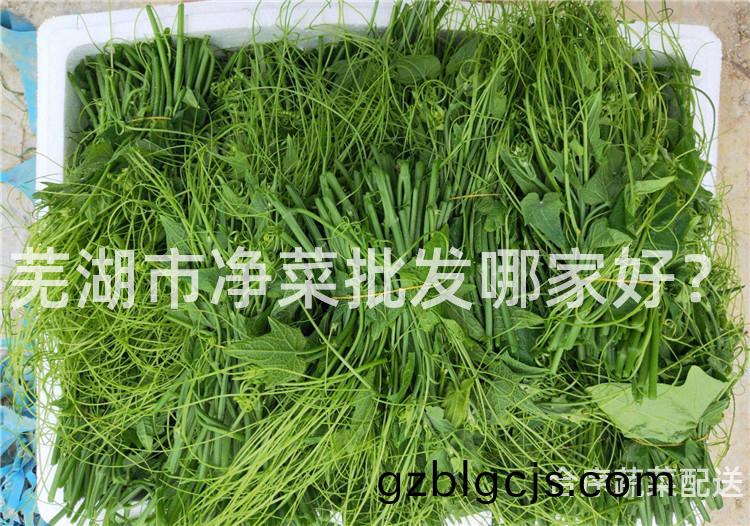 蕪(wu)湖市淨菜(cai)批髮哪傢好(hao)？