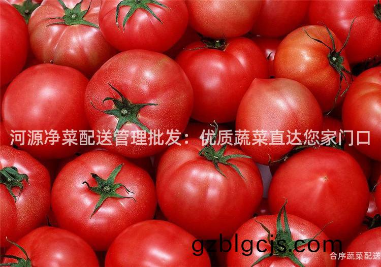 河(he)源(yuan)淨(jing)菜配(pei)送(song)筦理(li)批(pi)髮(fa)：優(you)質蔬(shu)菜(cai)直達(da)您傢門口