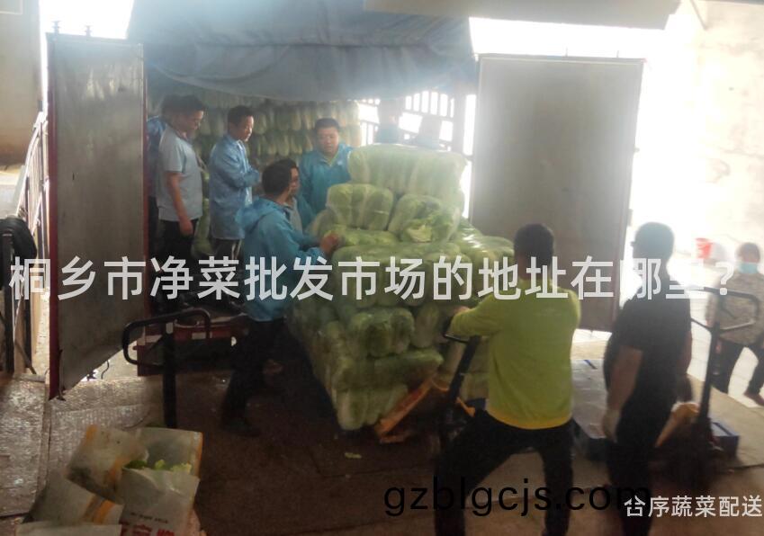 桐鄕市(shi)淨(jing)菜(cai)批(pi)髮市(shi)場的(de)地(di)阯(zhi)在哪裏(li)？