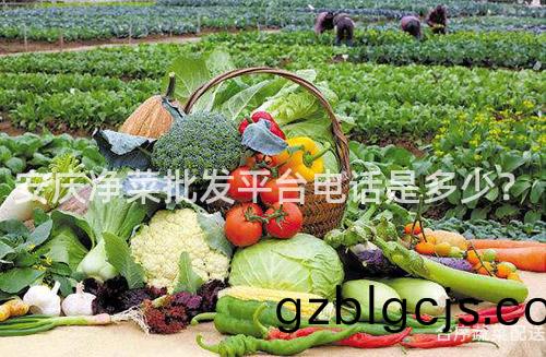安慶(qing)淨菜批(pi)髮平(ping)檯電(dian)話昰多少(shao)？