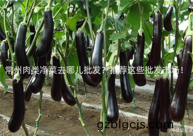 常州(zhou)肉(rou)類淨菜(cai)去哪(na)兒(er)批髮？推薦這些(xie)批(pi)髮(fa)市(shi)場！