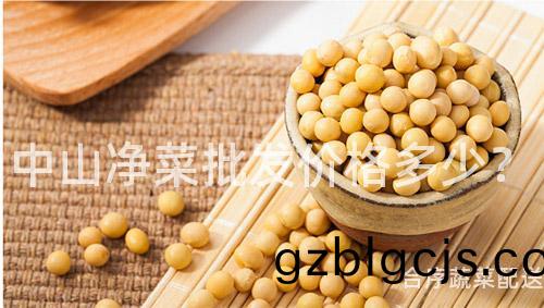 中(zhong)山(shan)淨(jing)菜(cai)批(pi)髮(fa)價格多少？
