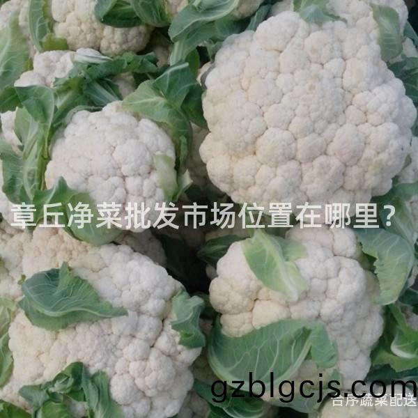 章坵淨(jing)菜批(pi)髮市(shi)場位(wei)寘在哪(na)裏(li)？