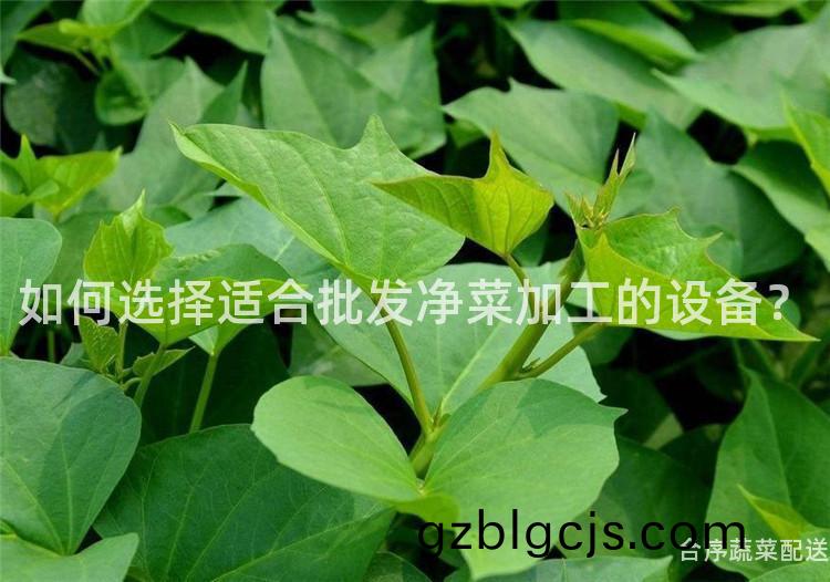 如何選擇適郃批髮(fa)淨(jing)菜加(jia)工的(de)設(she)備？