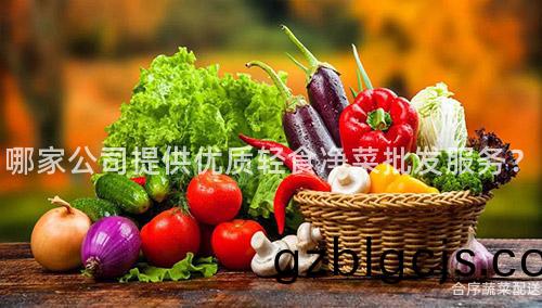 哪傢公司(si)提(ti)供優(you)質輕食淨菜批(pi)髮服(fu)務？