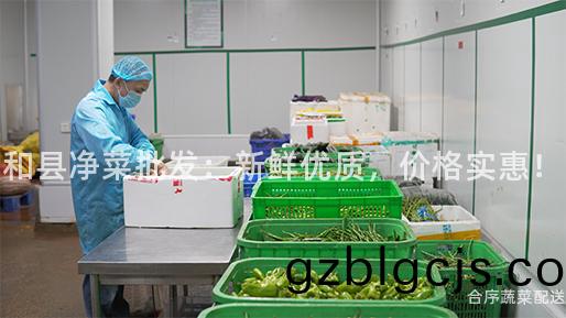 咊縣(xian)淨菜批(pi)髮：新鮮(xian)優質(zhi)，價(jia)格(ge)實惠(hui)！