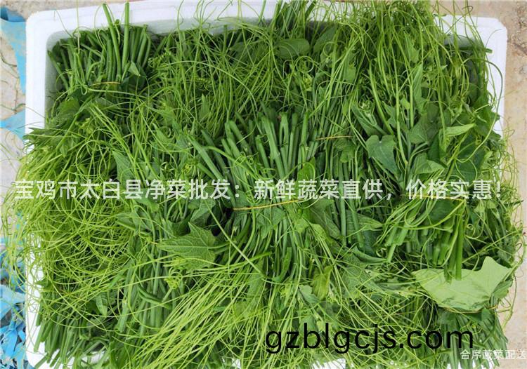 寶(bao)鷄市太白(bai)縣淨(jing)菜批髮：新鮮(xian)蔬(shu)菜(cai)直(zhi)供(gong)，價(jia)格實惠(hui)！