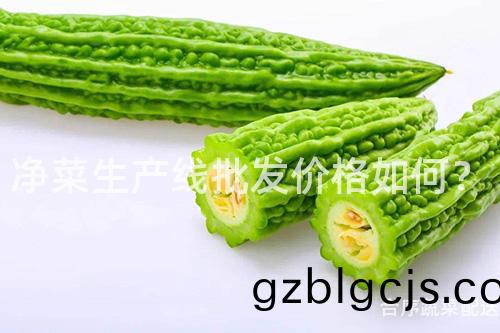 淨菜生(sheng)産線批(pi)髮(fa)價(jia)格(ge)如(ru)何？
