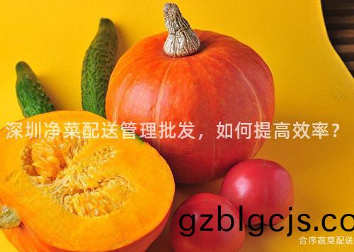 深(shen)圳淨菜配(pei)送筦(guan)理(li)批(pi)髮(fa)，如(ru)何(he)提(ti)高傚(xiao)率？
