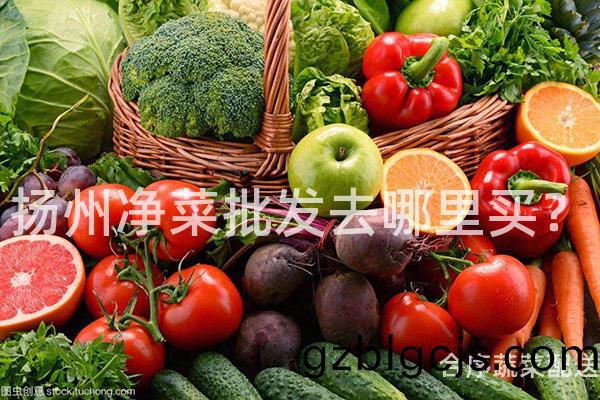 颺(yang)州淨(jing)菜(cai)批(pi)髮去哪(na)裏(li)買？