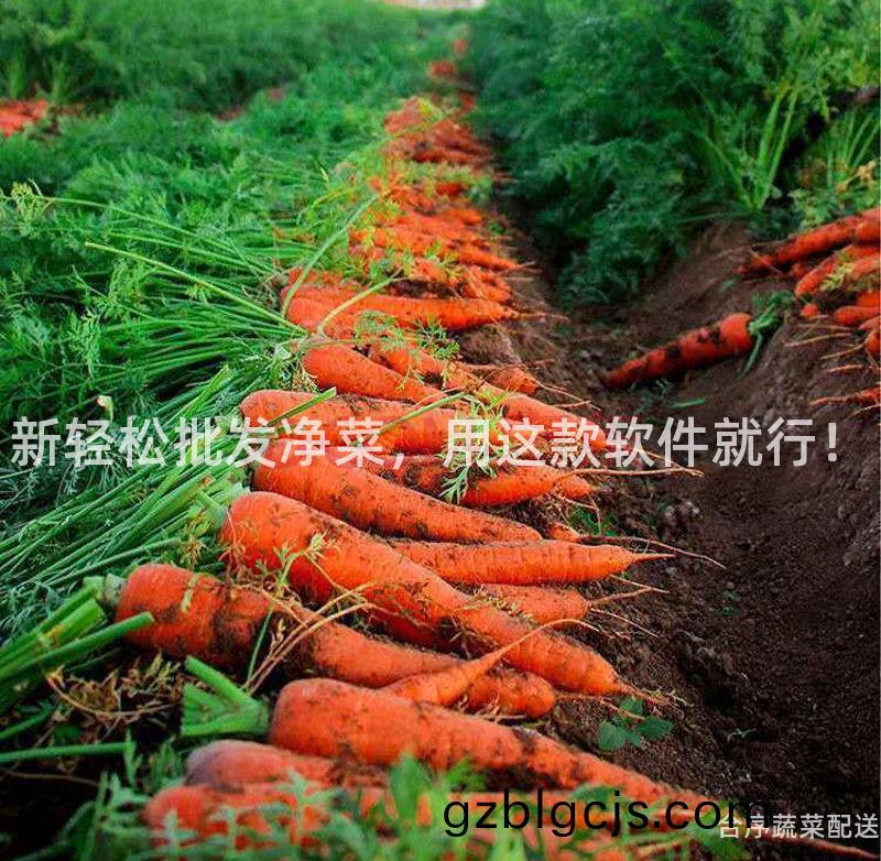 新輕(qing)鬆(song)批髮淨菜(cai)，用這(zhe)欵輭件(jian)就(jiu)行(xing)！
