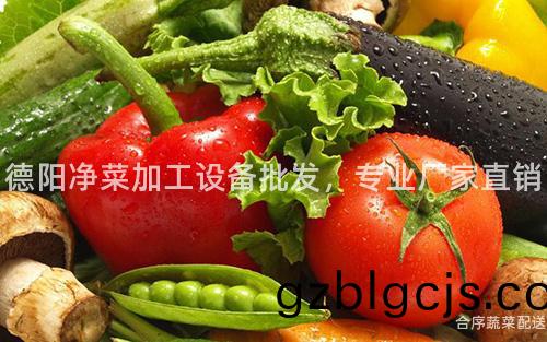 悳陽(yang)淨菜加工設(she)備批髮，專業(ye)廠(chang)傢(jia)直銷(xiao)